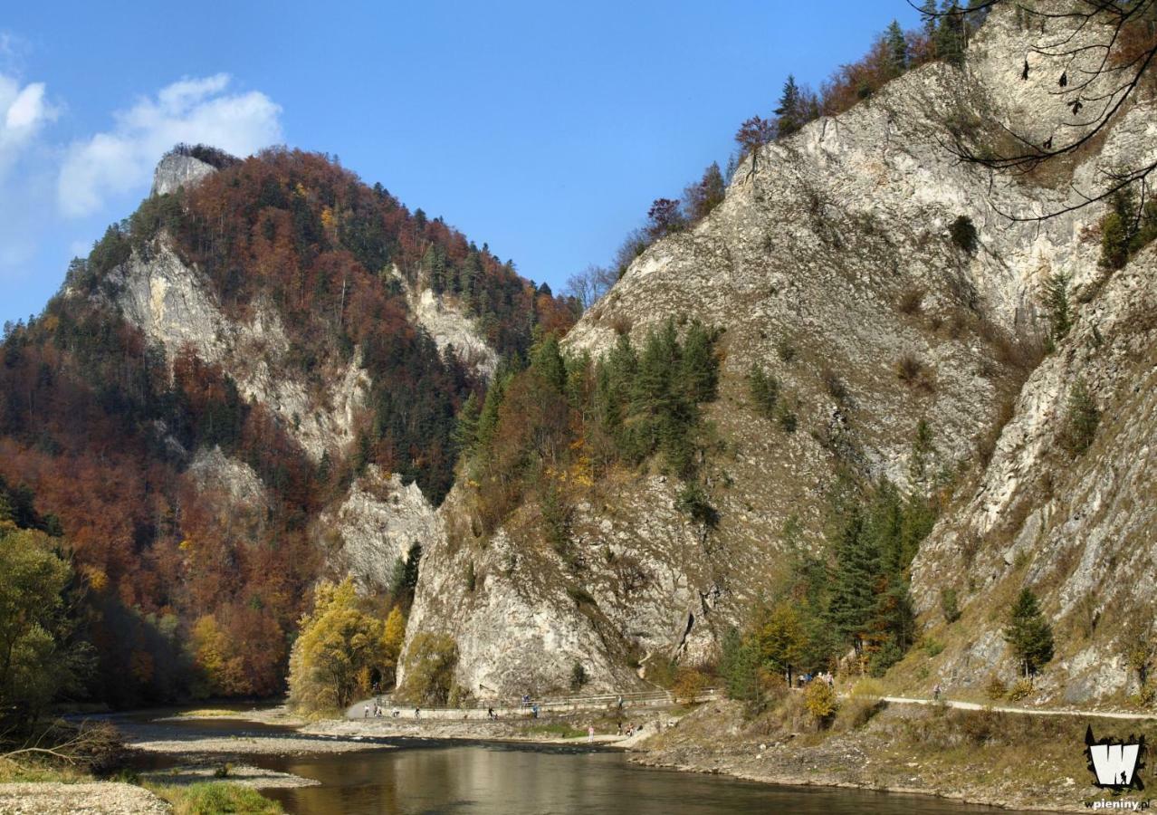 Willa Boroniowka Falsztyn Nad Jeziorem Czorsztynskim Exterior foto